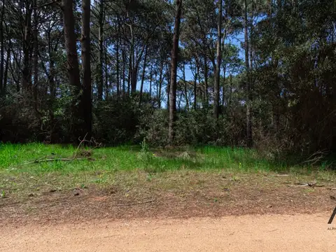 Terreno en Venta 200  mts Frente