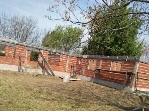 Martelli Pioneros 400