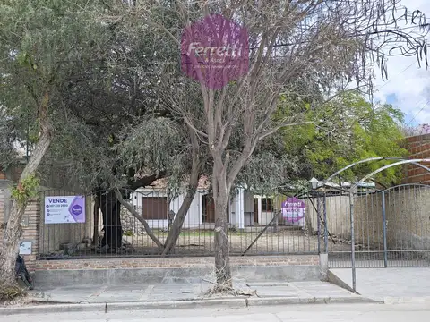 San Lorenzo  al 300