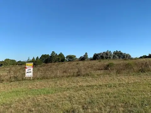 Parcela de 14.000 m2 en Acceso a Colón