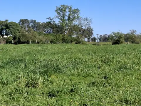 calle el Líbano entre el Salvador y Estados Unidos