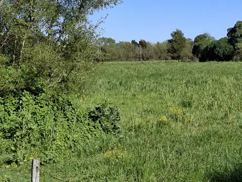 Quinta en venta en General Madariaga