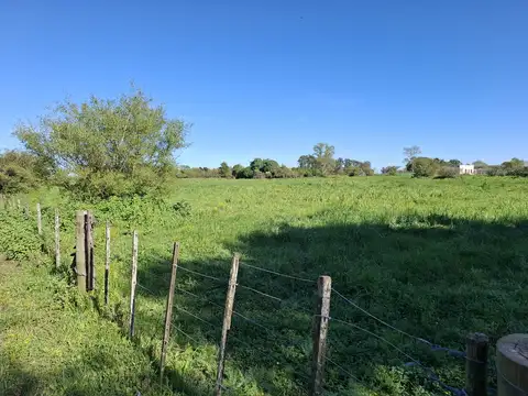 calle el Líbano entre el Salvador y Estados Unidos