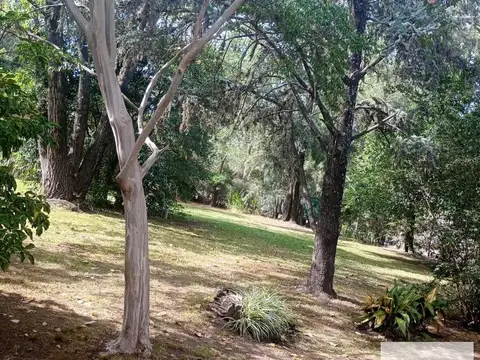 Quinta en Venta en Virrey del Pino, USD 99.000