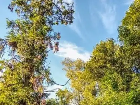 Quinta en Venta de 4 dormitorios