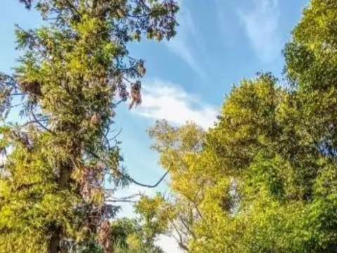 Quinta en Venta en Virrey del Pino, USD 99.000