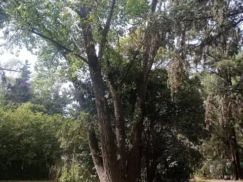 Quinta en venta - 4 Dormitorios 3 Baños - 2.304Mts2 - Virrey del Pino