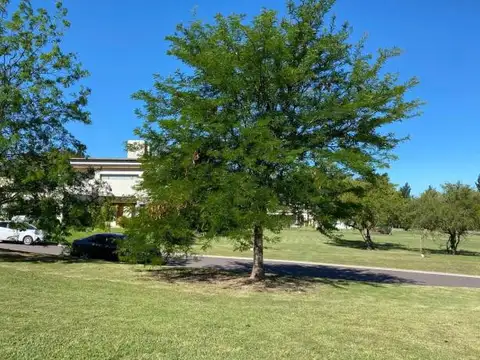 Terreno en Venta de 1039,0 m2