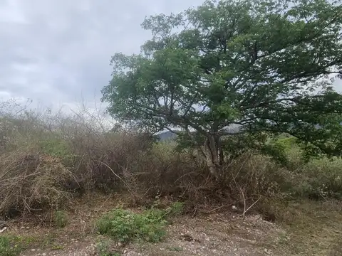 VENTA TERRENO DIQUE LA CIENEGA