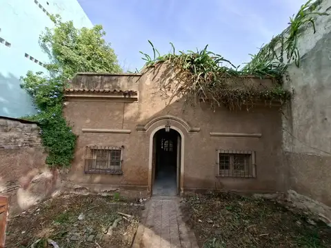 Isabel la Católica 500