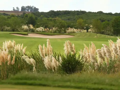 Terreno en Venta en Carmelo, USD 54.000