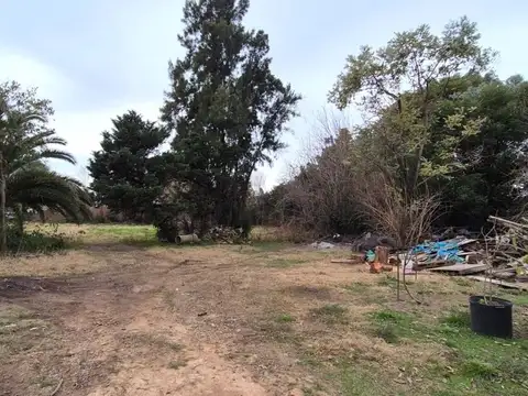 1 de Mayo 3500
