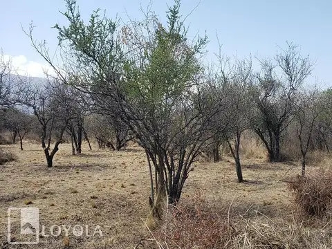 Terreno en Venta en Los Troncos, USD 15.000