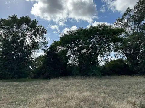 Terreno en Venta de 507,0 m2