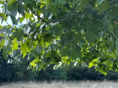 Venta de Lote en Barrio Angosto City Bell