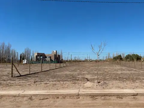 Terreno en Venta de 562,0 m2