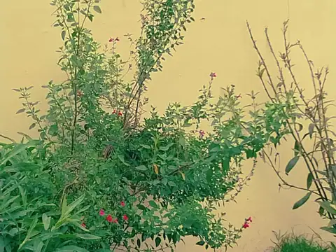 Casa 2 ambientes con 1 baño