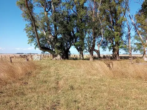 Campo en Las Flores