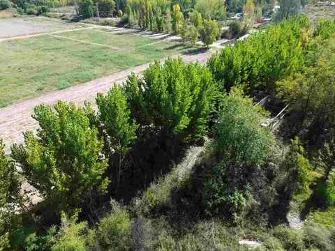 Terreno en Venta de 10000,0 m2