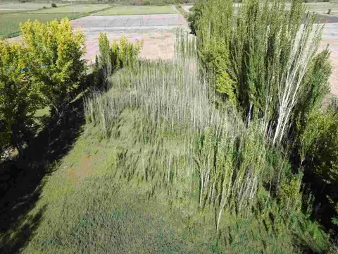 LOTE CARRIZAL SOBRE RUTA 16