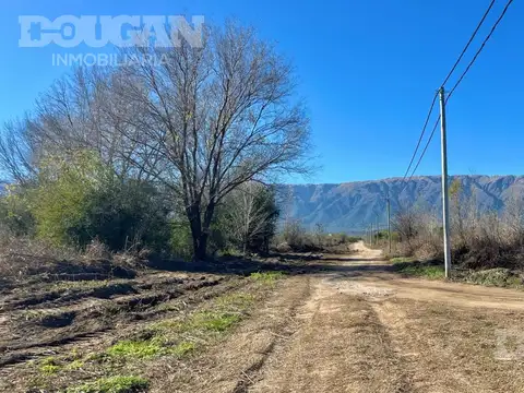 jajaja