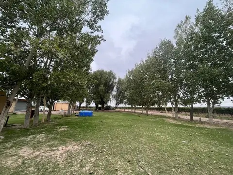 Venta finca Barrancas, Mendoza, 60 hectareas