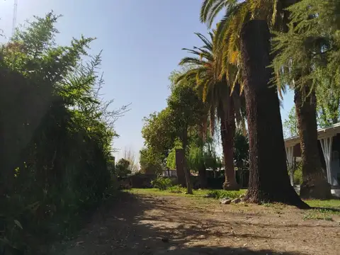 MAGNIFICA PROPIEDAD EN ALQUILER PARA COMERCIO O VIVIENDA CHACRAS DE CORIA