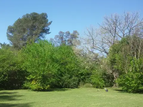 TERRENOS/FRACCIONES/LOTEOS - TERRENOS - INGENIERO MASCHWITZ, GRAN BS. AS. NORTE