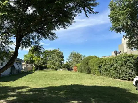 Terreno en Venta 51  mts Fondo