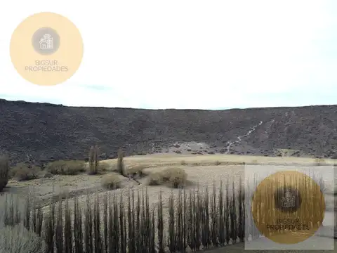 1800 Ha. en venta