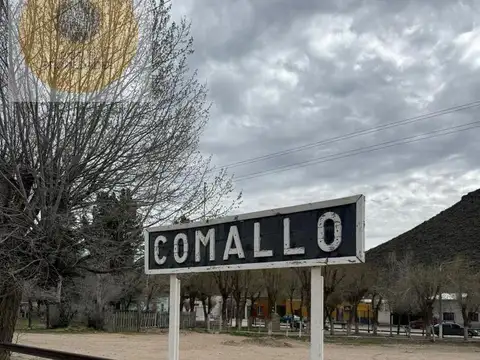1800 Ha. en venta