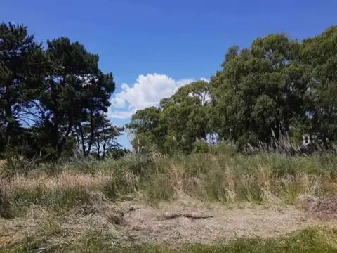 Terrenos en venta - 1034mts2 - Costa Del Este