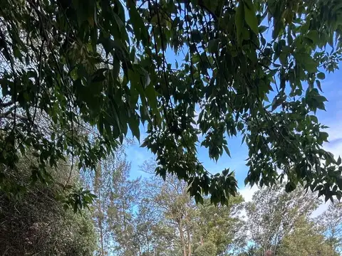 TERRENO DE 1052 M2 EN VENTA, BARRIO LA CODORNIZ, LOS CARDALES