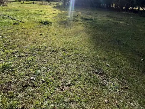 Terreno en Venta de 1595,0 m2