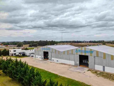 Ruta 228 y 86 Necochea