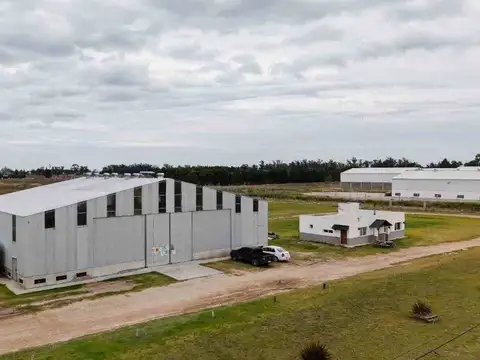 NAVES INDUSTRIALES EN VENTA EN NECOCHEA SOBRE RUTA