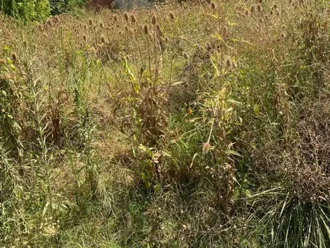 Terreno en Venta en General Rodriguez, USD 21.000