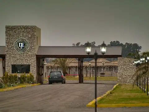 Calle Camino A Navarro 500