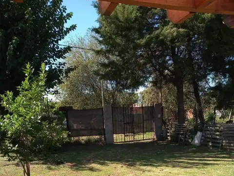 Libertador General San Martín e/ Florida y Castelli