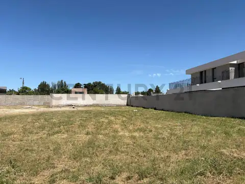 Terreno en Venta 45  mts Fondo