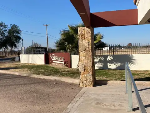 Terreno en Venta en Lujan de Cuyo, USD 73.000