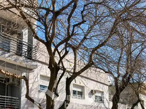 Andonaegui 1200