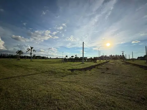 Terreno en Venta de 321,0 m2