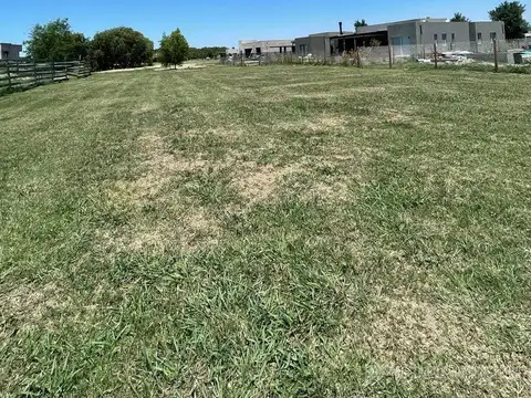 Terreno en Venta 43  mts Fondo