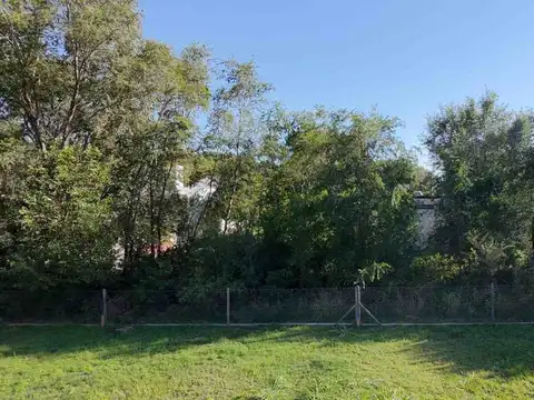 Dr Bernardo Houssay entre Sarmiento y D.Perón, Villa Rumipal