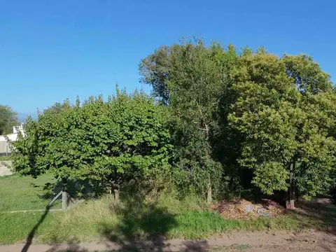 Terreno en Venta de 311,0 m2