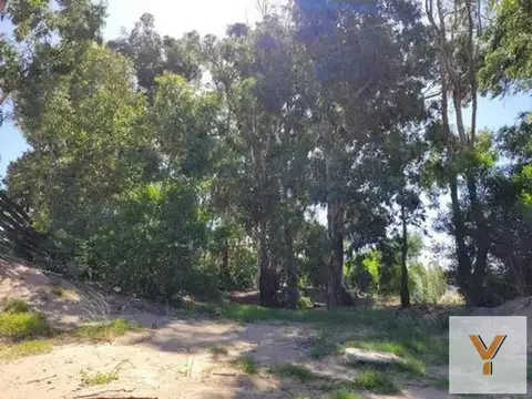 Terreno en Venta 50  mts Fondo