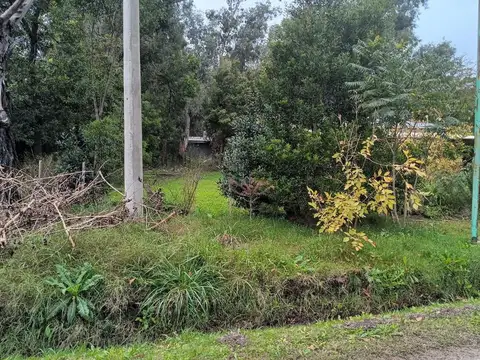 terrenos en correa