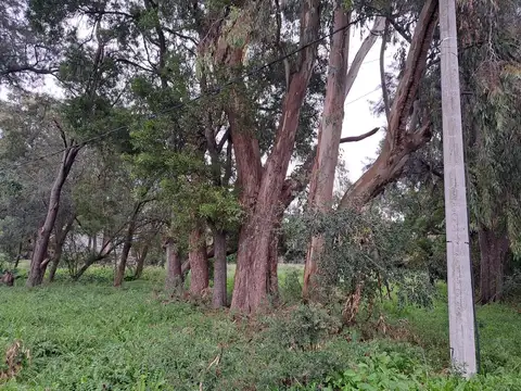 Terreno en Venta de 435,0 m2