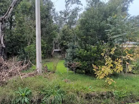 terrenos en correa